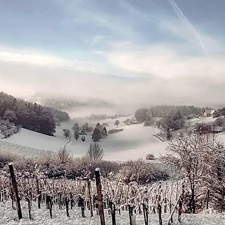 Resort Weingarten-resort Loipersdorf - Adults Only