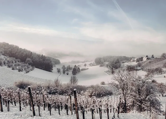 Weingarten-resort Loipersdorf - Adults Only منتجع Unterlamm (Styria)